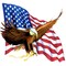 Bald Eagle Flying Over US Flag Edible Icing Sheets- Assorted Image Cake Toppers-Frosting Sheets- Cookies- Cupcake Toppers